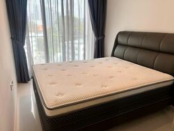 The Rise @ Oxley - Residences (D9), Apartment #574485581